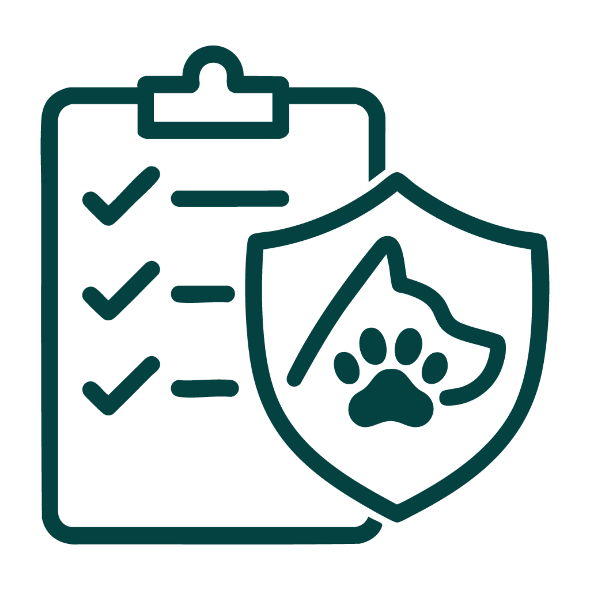 Safety first, always!